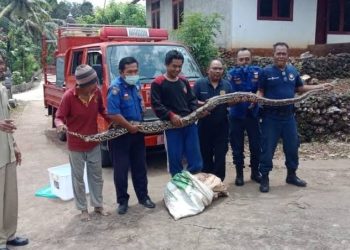 Pemadam Kebakaran atau damkar memiliki tugas yang cukup berat. Mereka bahkan rela mengorbankan nyawanya demi menyelamatkan banyak orang