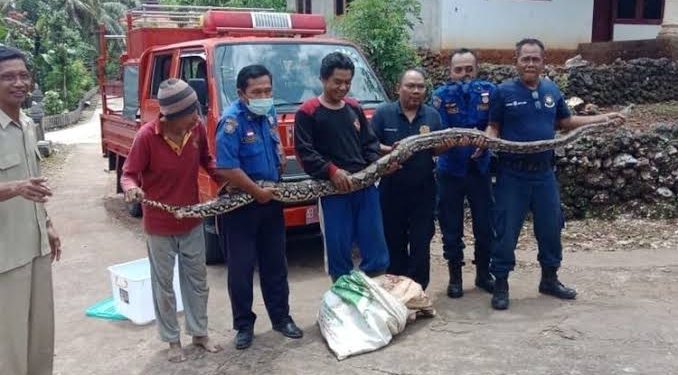 Pemadam Kebakaran atau damkar memiliki tugas yang cukup berat. Mereka bahkan rela mengorbankan nyawanya demi menyelamatkan banyak orang